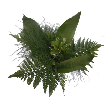 Greenery